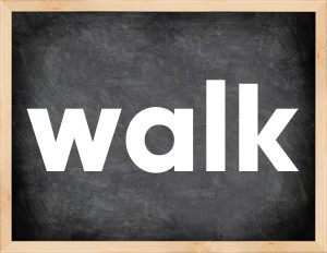 3 forms of the verb walk