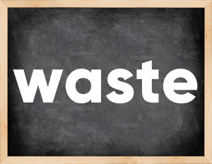 3 forms of the verb waste