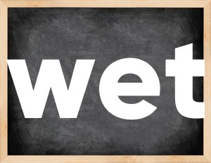 3 forms of the verb wet